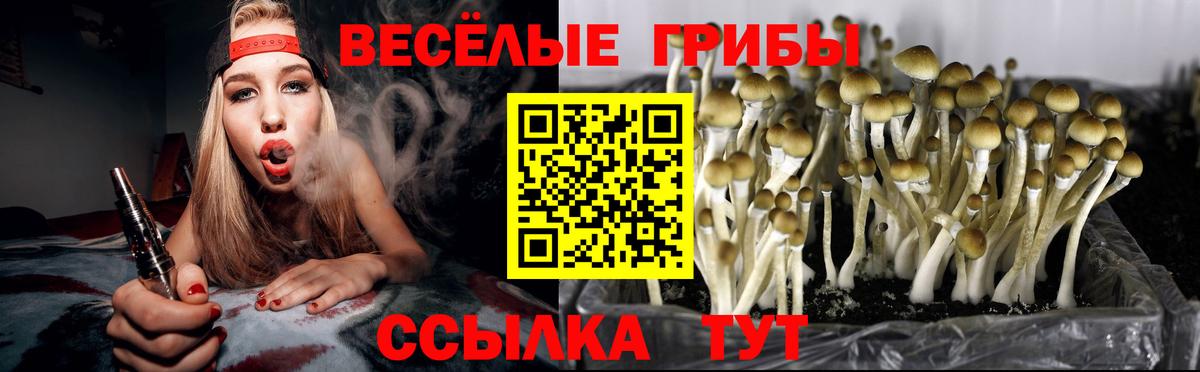 Псилоцибиновые грибы Cubensis Балашиха